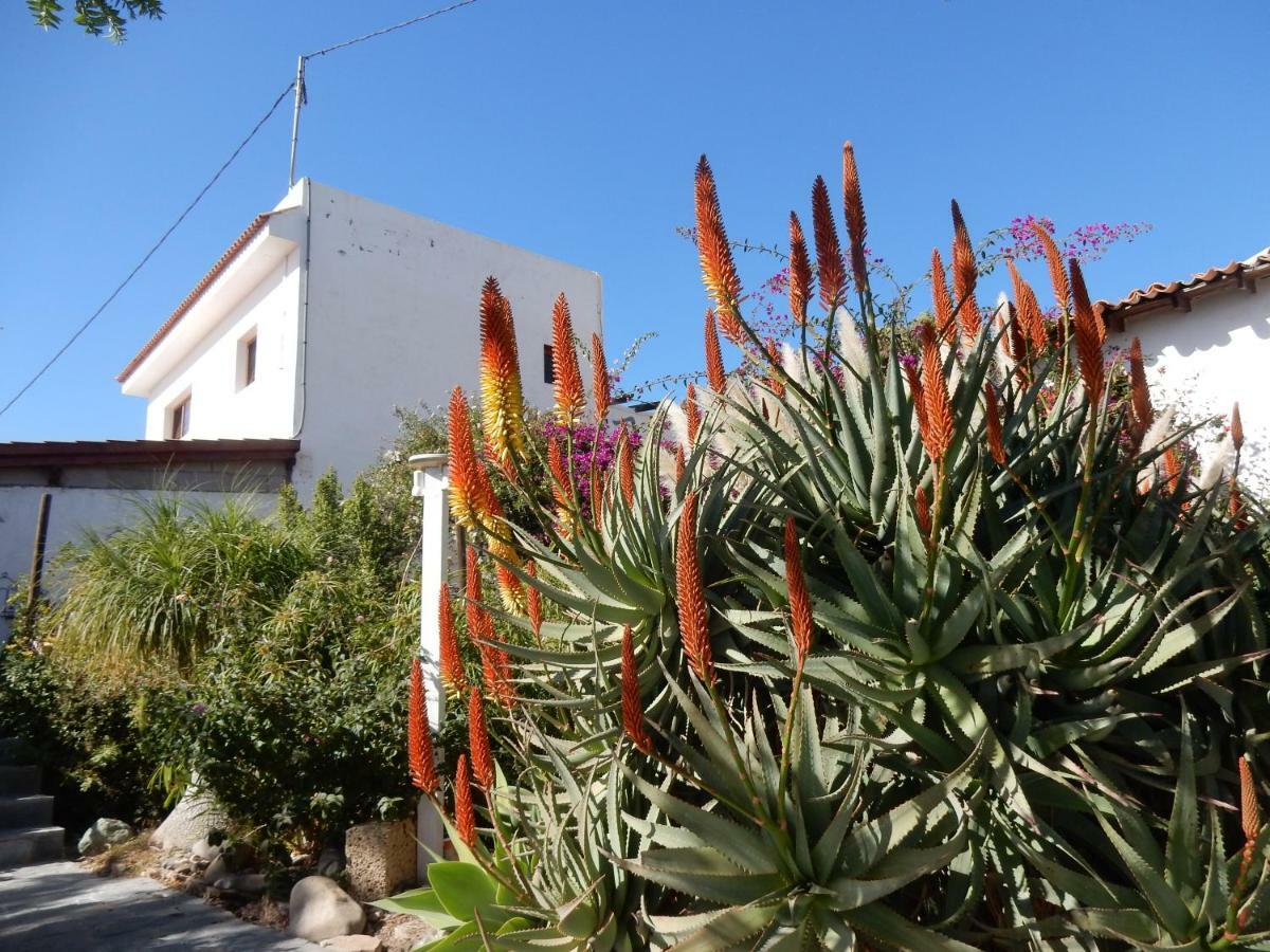 Finca Florida San Miguel de Abona Bagian luar foto