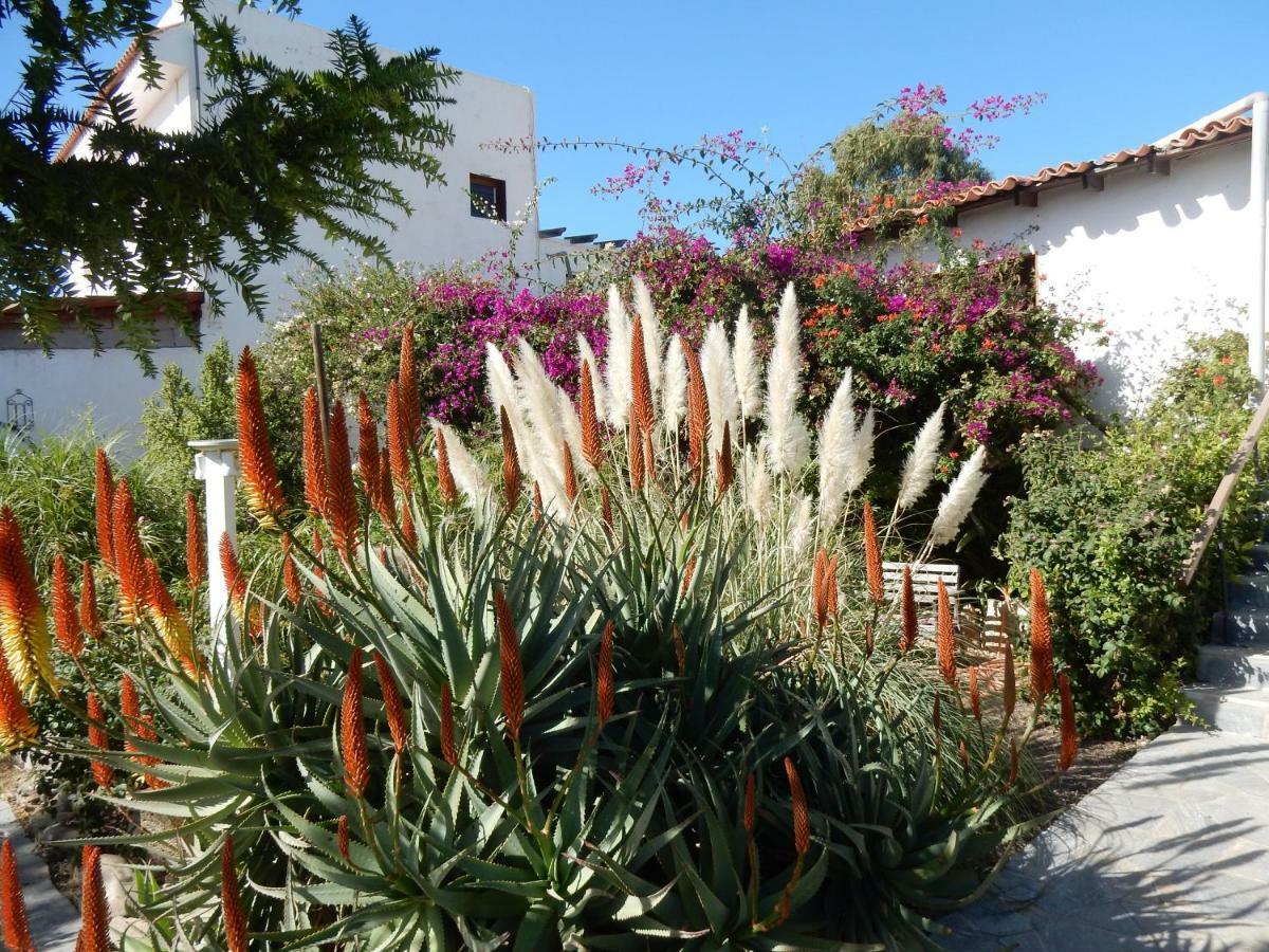 Finca Florida San Miguel de Abona Bagian luar foto